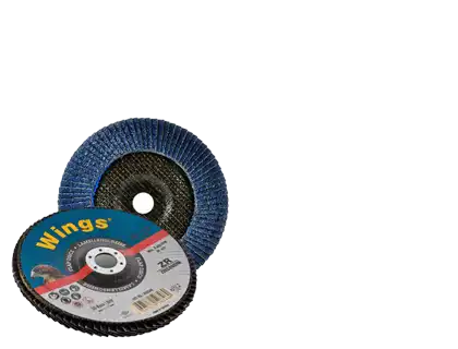 فلاپ دیسک عقاب