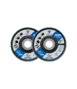 فلاپ دیسک پائولا